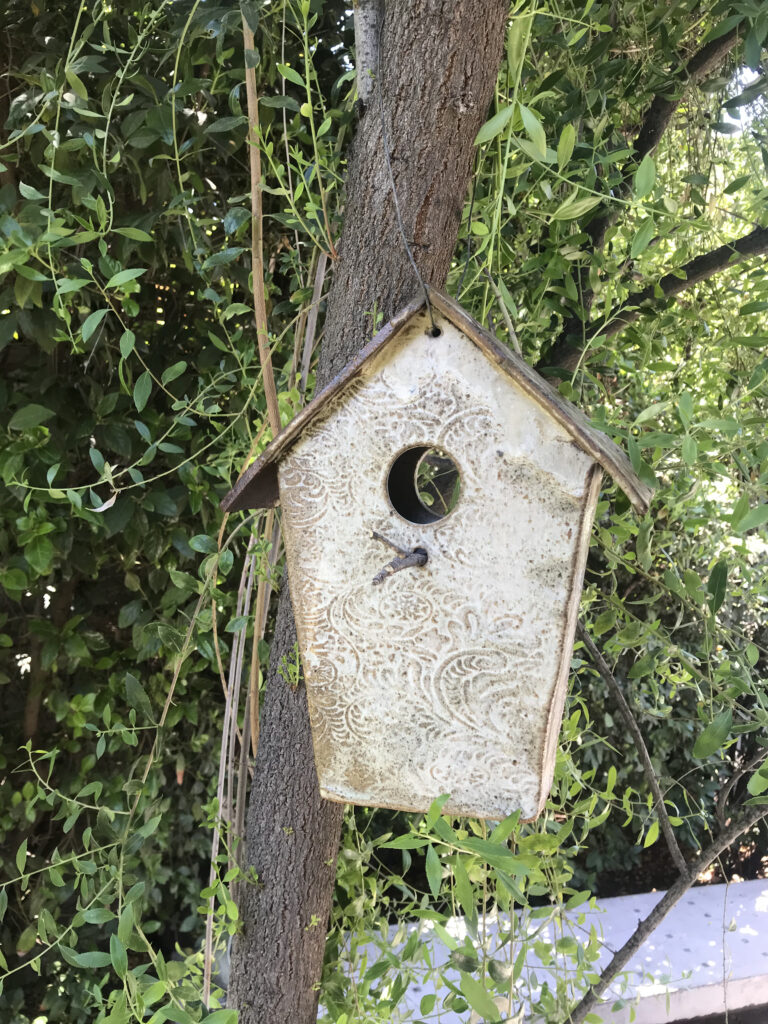 20240121_163612903_iOS