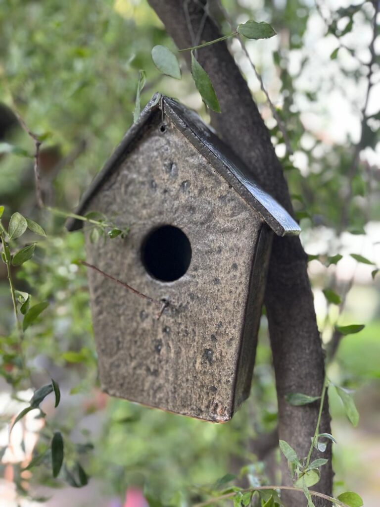 WhatsApp Image 2025-11-24 at 13.27.03 (1)